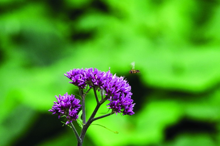 zdjęcie z albumu 'Opowieści z serca Tatr' / fot. Łukasz Janczy