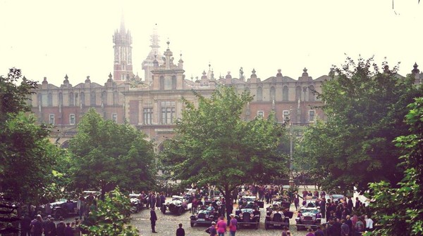 Drzewa na Rynku Głównym