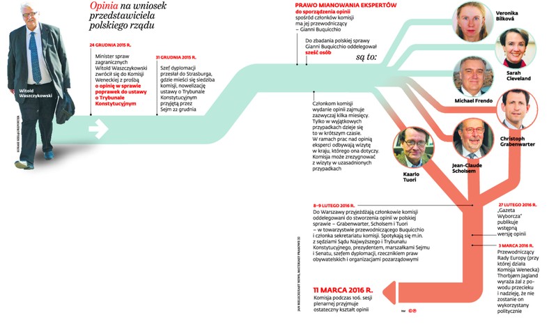 Opinia na wniosek przedstawiciela polskiego rządu