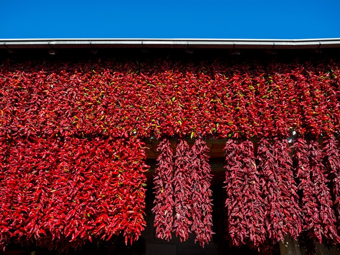 Crveno selo na jugu Srbije jedino je mesto na kome uspeva specijalna paprika nizača