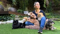 Tornóczky Anita mindig érezte, hogy egy nap gyermeke születik