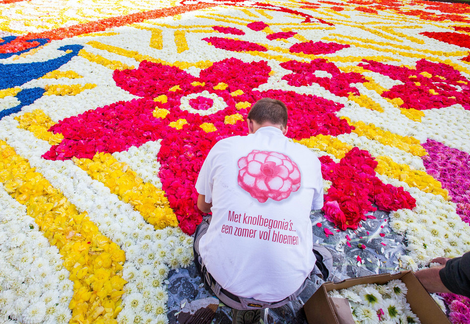 BELGIUM GIANT FLOWER CARPET (20th giant flower carpet in Brussels)