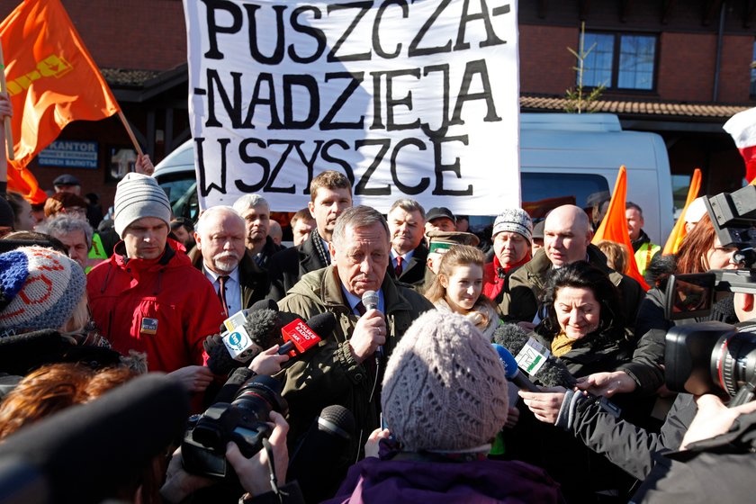 Minister zdecydował ws. puszczy. Ekolodzy niezadowoleni