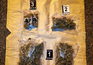 Droga zaplenjena na auto-putu