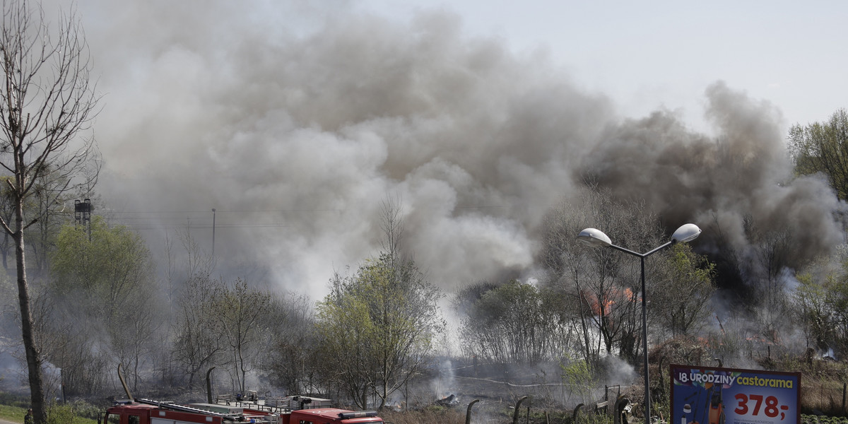 Pożar działek na Magnolii we Wrocławiu