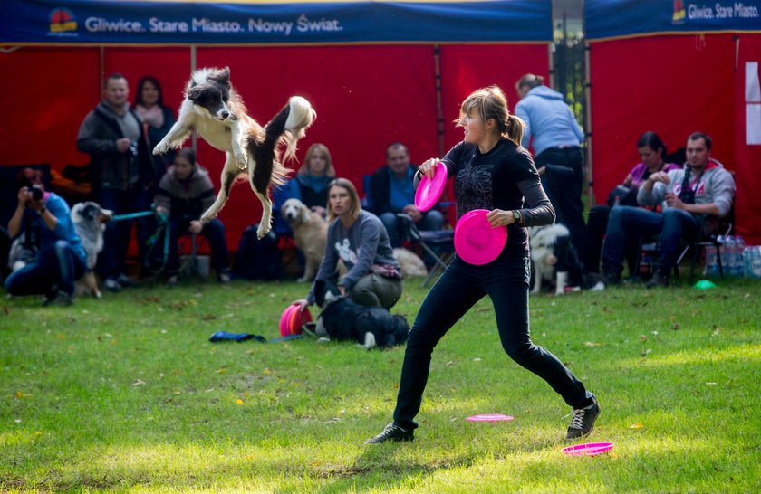 Gliwice. Piknik „Psistanek” w Parku Chopina 