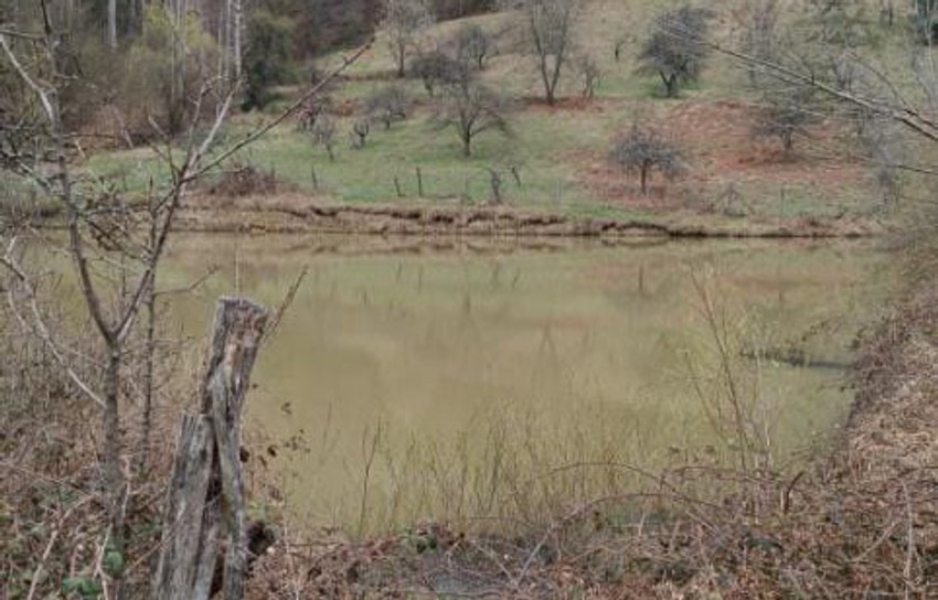 Hapšenje zbog ekološkog kriminala 