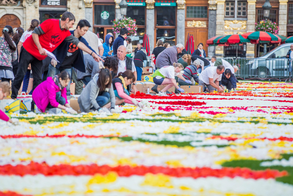 BELGIUM FLOWER CARPET (20th edition of the Flower Carpet in Brussels)