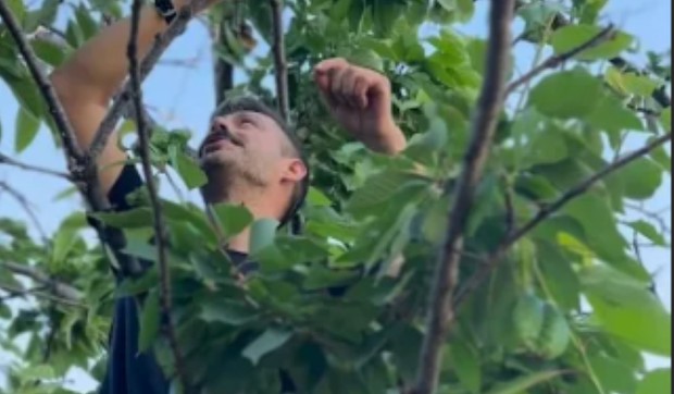 Milan Vasić, objava