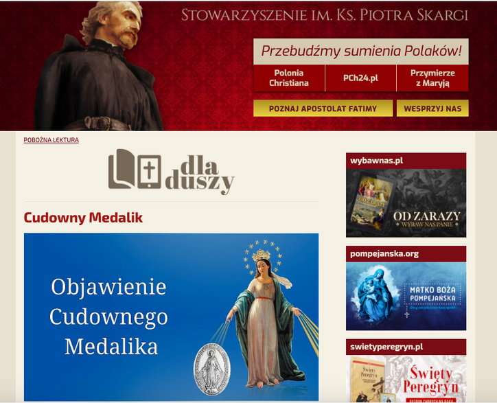 Kampania fundraisingowa Fundacji Instytut Piotra Skargi w internecie, fot.  zrzut ekranu ze strony piotrskarga.pl