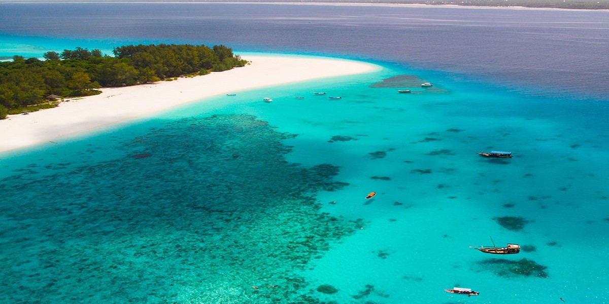 Zanzibar/materiały prasowe Rainbow