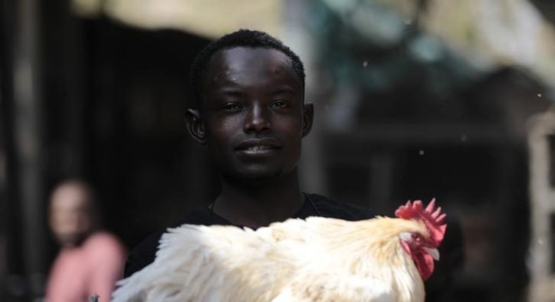 A man poses with a chicken at a local market in Gombe state, January 30, 2015. REUTERS/ Afolabi Sotunde