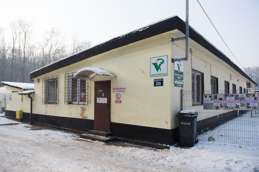 Sosnowiec. Schronisko dla psów potrzebuje pieniądze na remont