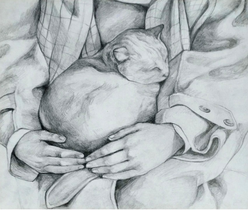 Kaja Đoković, Sofronije