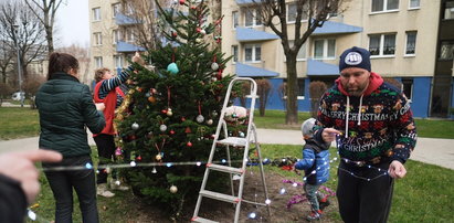 Hurra, mamy choinkę!