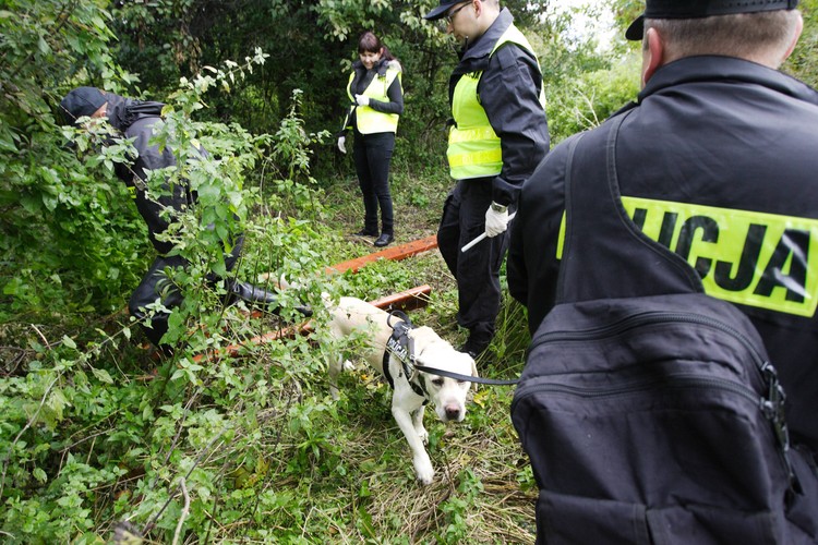 Poszukiwania Iwony Wieczorek. Akcja policji w Trójmieście