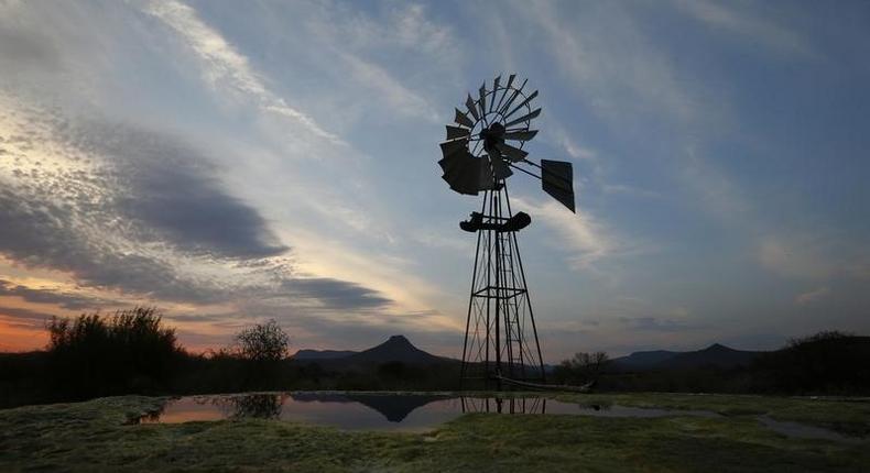 A windmill pumps water from a borehole near Graaf Reinet in the Karoo October 11, 2013. REUTERS/Mike Hutchings NG HUTCHINGS'