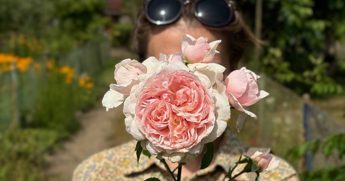 Kupiła działkę ROD za 5 tys. zł. "Nie wiem, czy było warto"