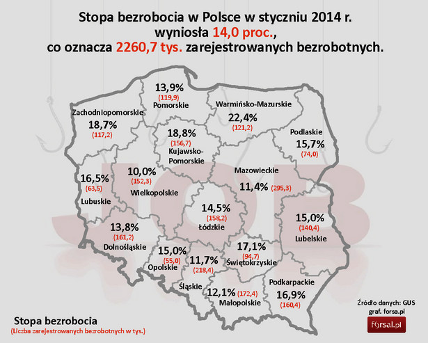 Stopa bezrobocia w Polsce w styczniu 2014 r. - podział na województwa