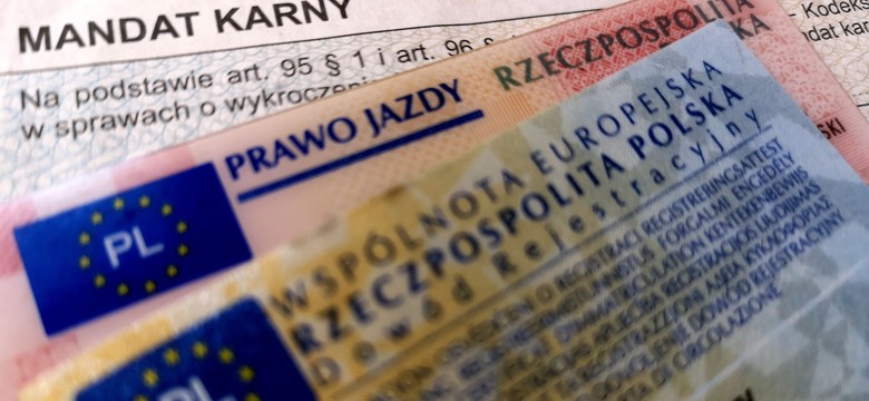 Prawo jazdy zbędne. Rząd ruszył z wielką rewolucją