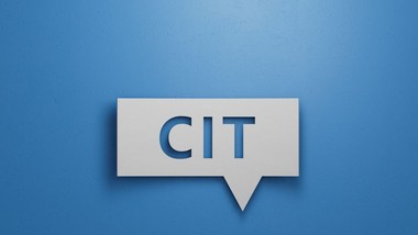 czy członkostwo w cechu wyklucza z estońskiego cit