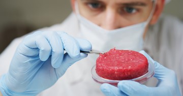 Betiltotta Olaszország a mesterséges húst