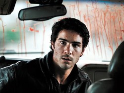 Nieśmiały drapieżnik