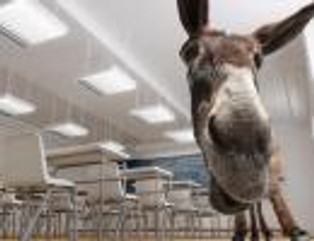 Lewestam: Prawicy i lewicy kłopoty z logiką [FELIETON]