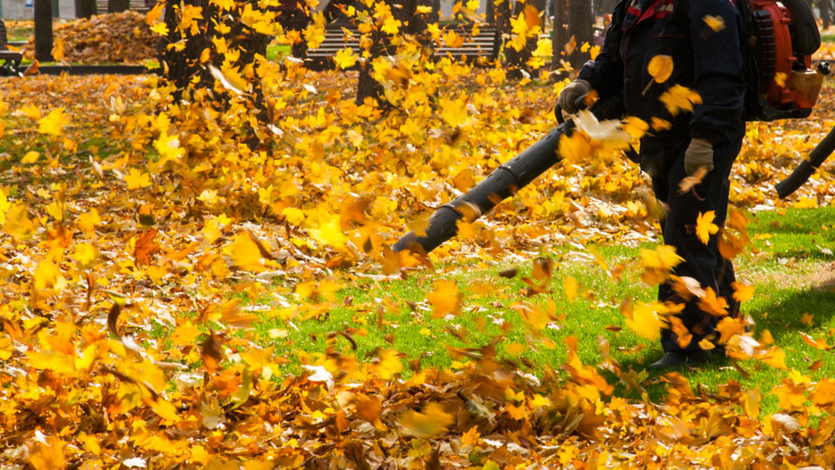 Pogoda Łódź na dziś. Prognoza pogody 2018-10-21