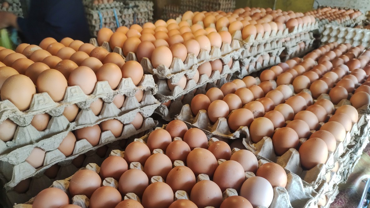 Stačí sekunda nepozornosti a do vašej kuchyne si môžete priniesť salmonelu.