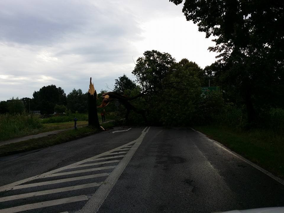 Zniszczenia po nawałnicy w Rybniku