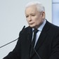 Prezes PiS Jarosław Kaczyński