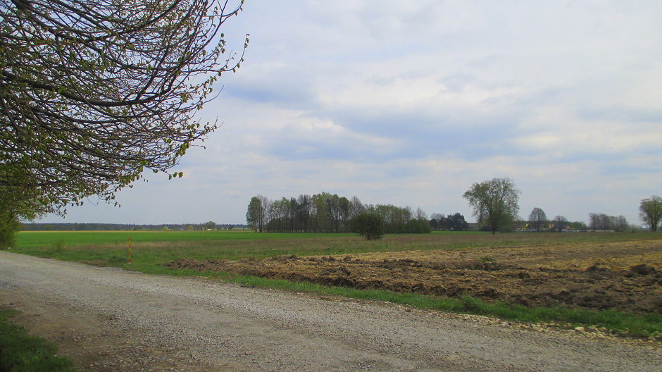 Pole koło Tomaszowa Mazowieckiego