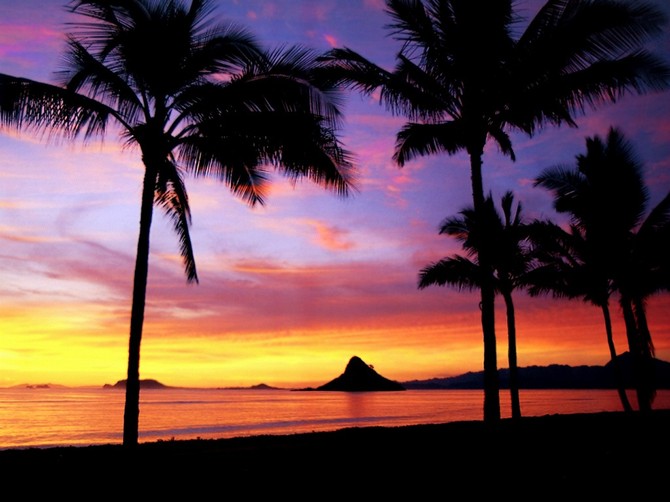 20960_jw Hawaii Dreamin 18