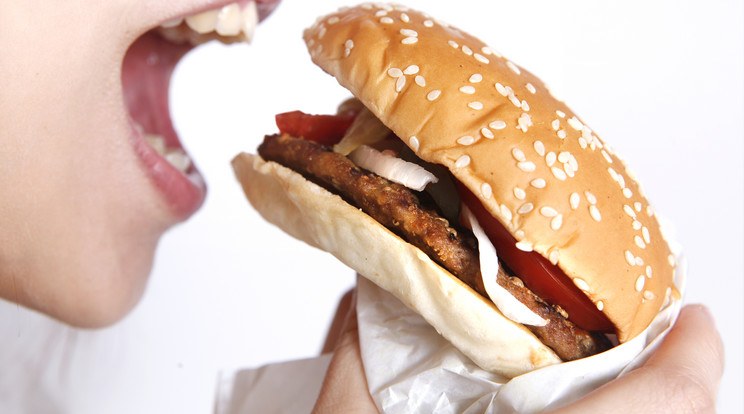 Patkányból készítenek burgert /Fotó: Nortfoto