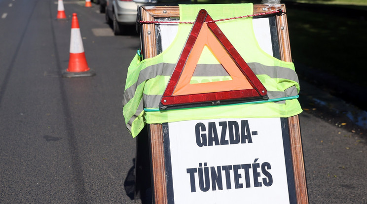 A Műcsarnok mellett augusztus 20-a óta áll tüntetők karavánja, sokan megnézik, és fotózzák a demonstrálókat /Fotó: Zsolnai Péter