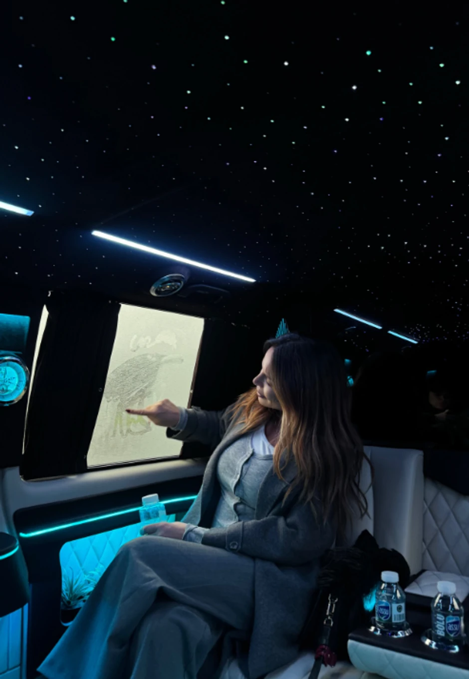 Sonja Vuksanović u Istanbulu