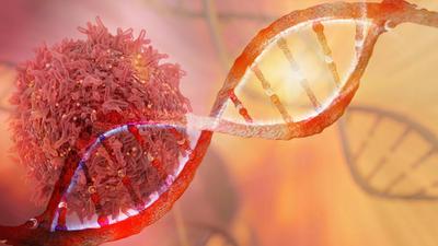 Model nici DNA z komórką rakową