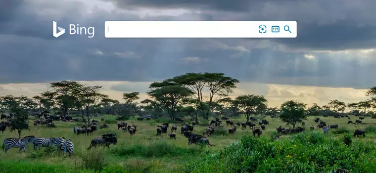 Bing zamiast Google. Microsoft podmieni użytkownikom Office 365 przeglądarkę w Chrome