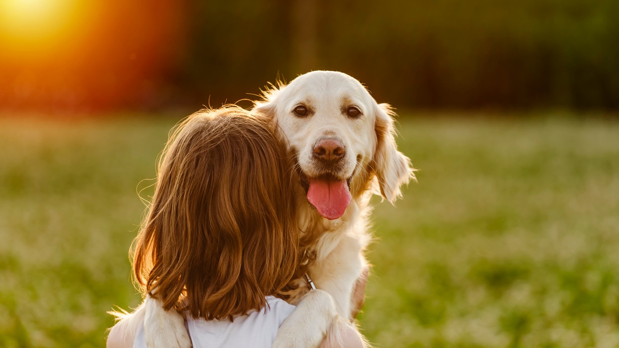 Psy sú už neodmysliteľnou súčasťou našich životov.