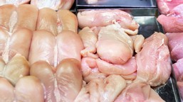 skażone mięso w supermarketach i dyskontach. połowa próbek z bakteriam
