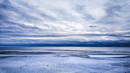 bałtyk zalany toksycznym olejem. tysiące litrów paliwa trafiło do zatoki botnickiej