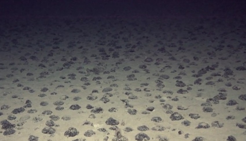 Noduli na morskom dnu