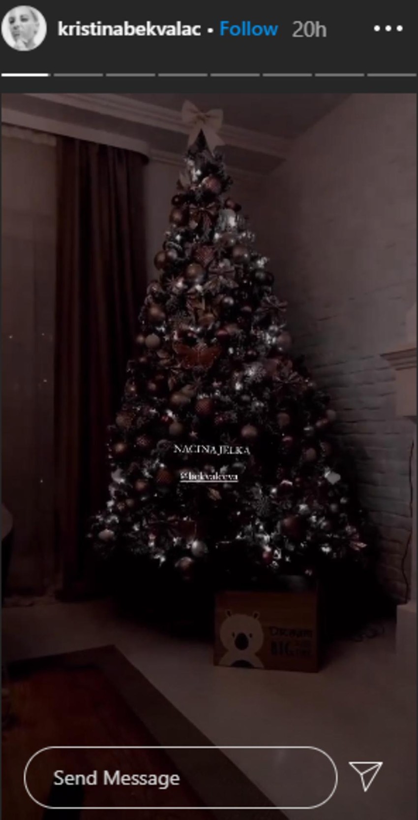 Kristina pokazala kako izgleda Natašina jelka