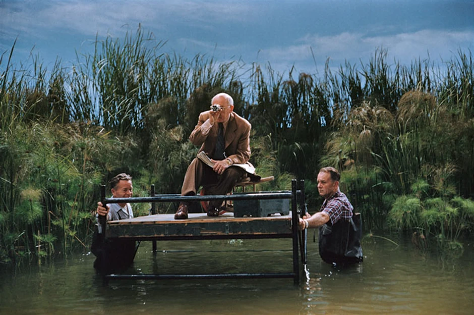 Film je nominovan za sedam Oskara, a osvojio je jednog