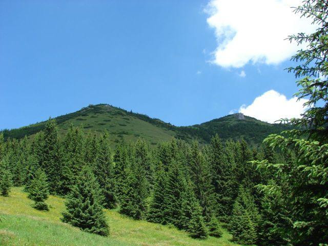 Galeria Polska - Tatry - wycieczka na Grzesia i Rakoń, obrazek 7