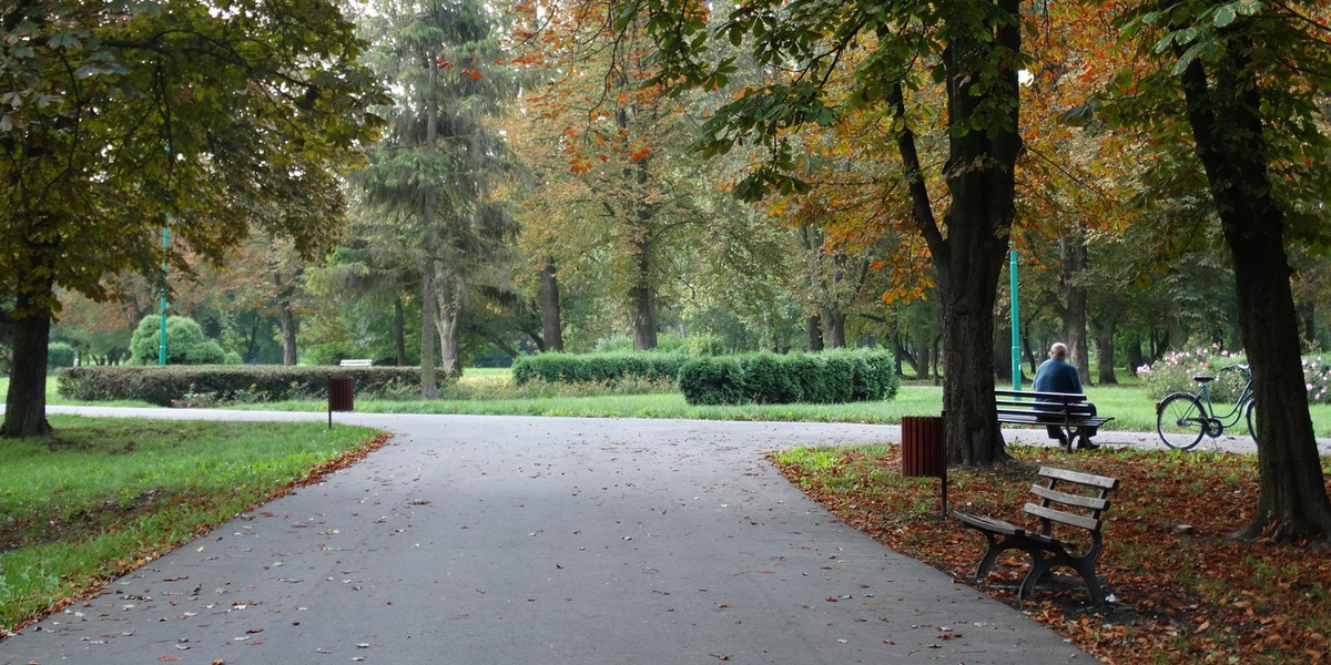 Lublin potrzebuje parków