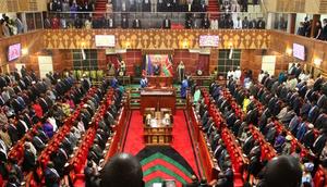 File image of legislators in the National Assembly A petition seeking to elevate Luo to an official language has been filed in parliament