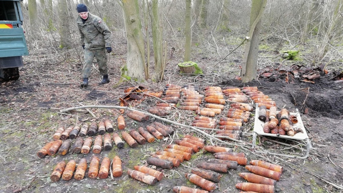 Podczas wycinki drzew w lesie pod Strzelinem pracownicy natrafili pod ziemią na 41 skrzyń, w których było ponad 160 pocisków oraz instrukcje ich obsługi. Na miejsce wezwano saperów, którzy zabezpieczyli znalezisko, a następnie przewieźli w bezpieczne miejsce.