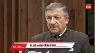 Leśnik chroni las przed degradacją